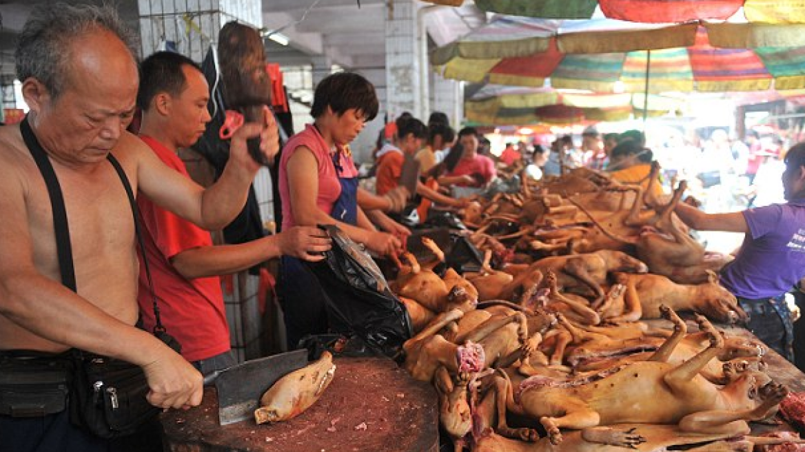 Κίνα: Γιόρτασαν το θερινό ηλιοστάσιο τρώγοντας... σκύλους